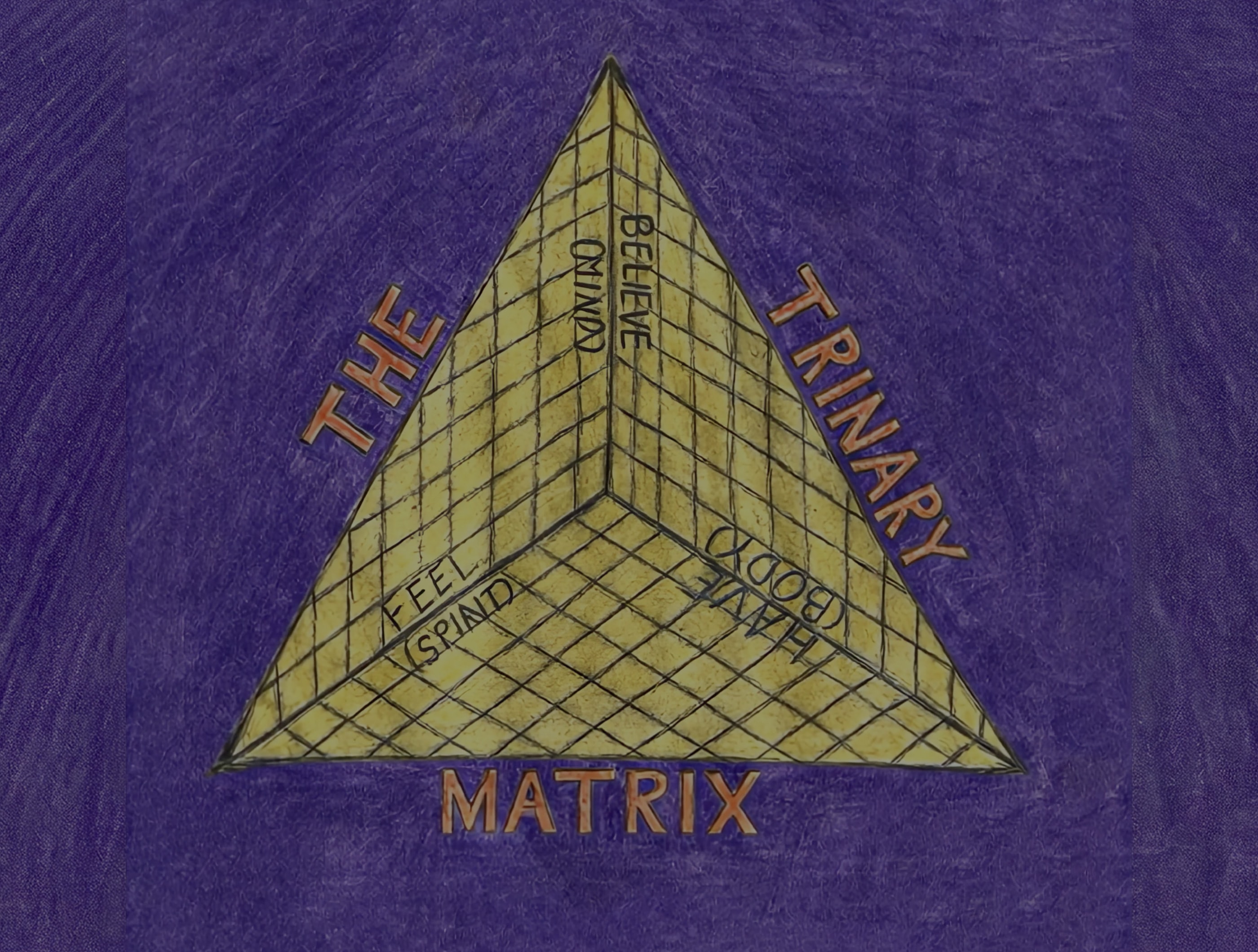 The Trinary Matrix